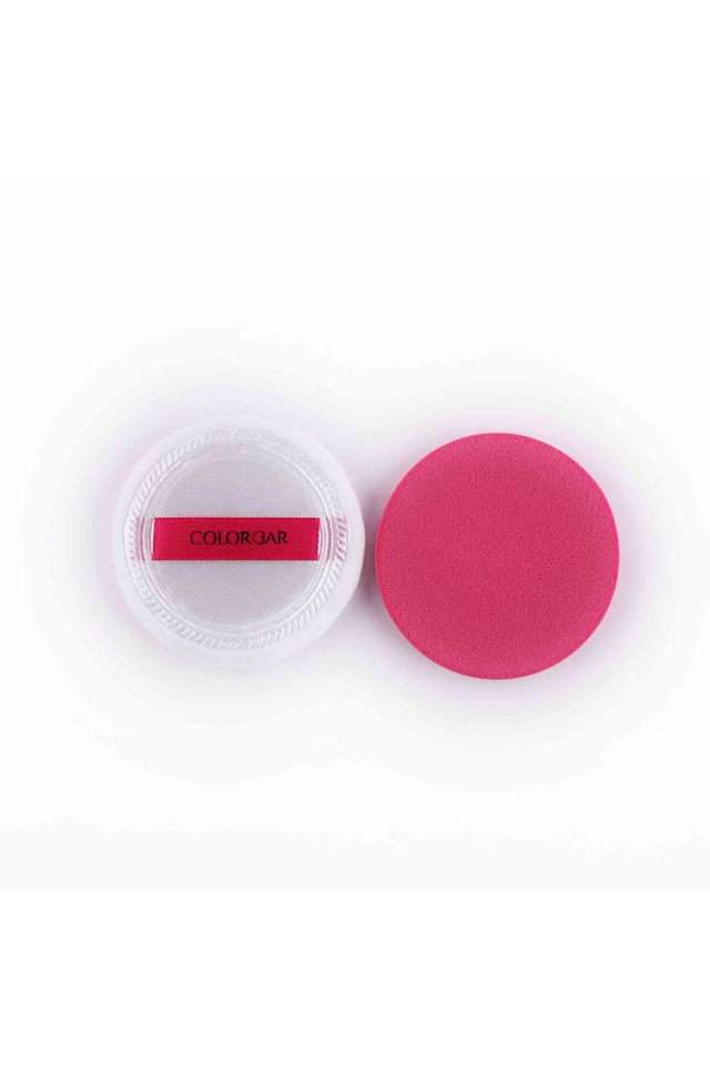 Accessories-Sponge---Zacc025-