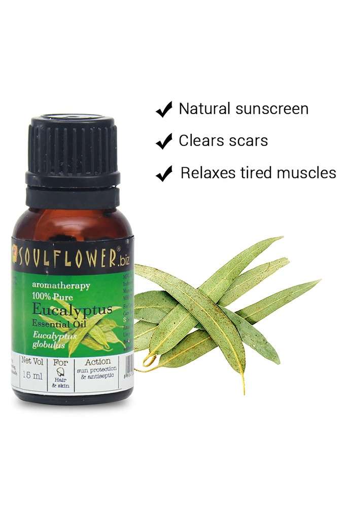 Essential-Oil-Eucalyptus---15-ml