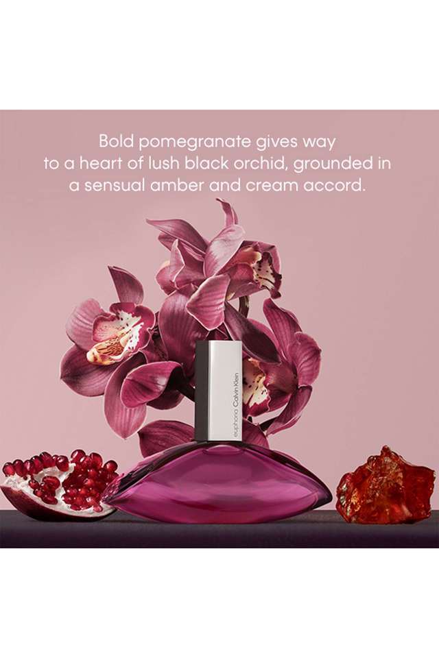 Buy CALVIN KLEIN nocolor Euphoria Women Eau de Parfum 100ML