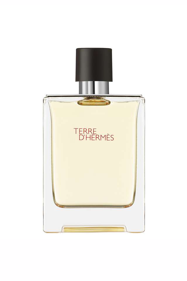 Buy Hermes nocolor Hermes Terre d'Herm s Eau de Toilette 100ml