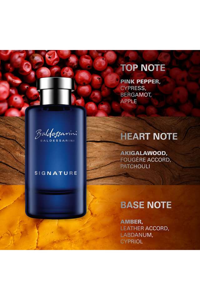 Buy Baldessarini nocolor Signature Eau de Toilette for Men