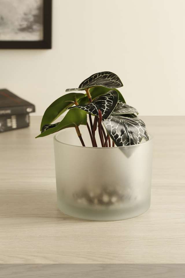 Glass-Frostted-Potted-Plant