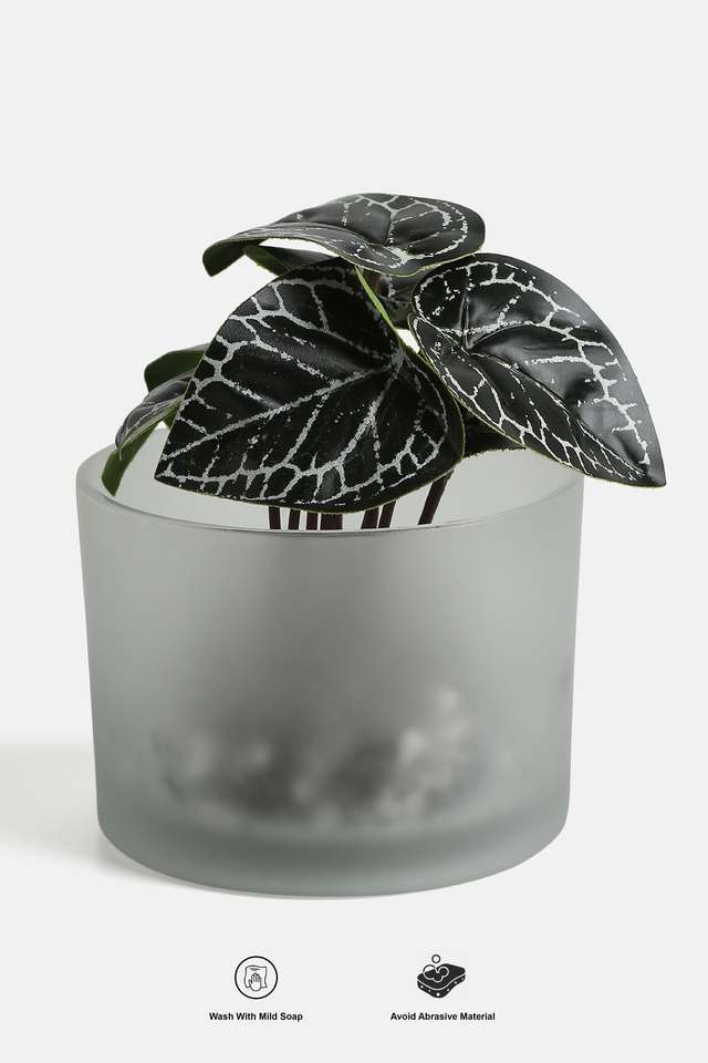 Glass-Frostted-Potted-Plant