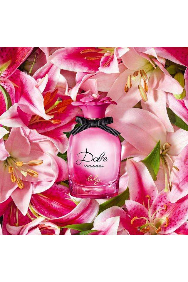Buy Dolce&Gabbana nocolor Dolce & Gabbana Lily Eau de Toilette for
