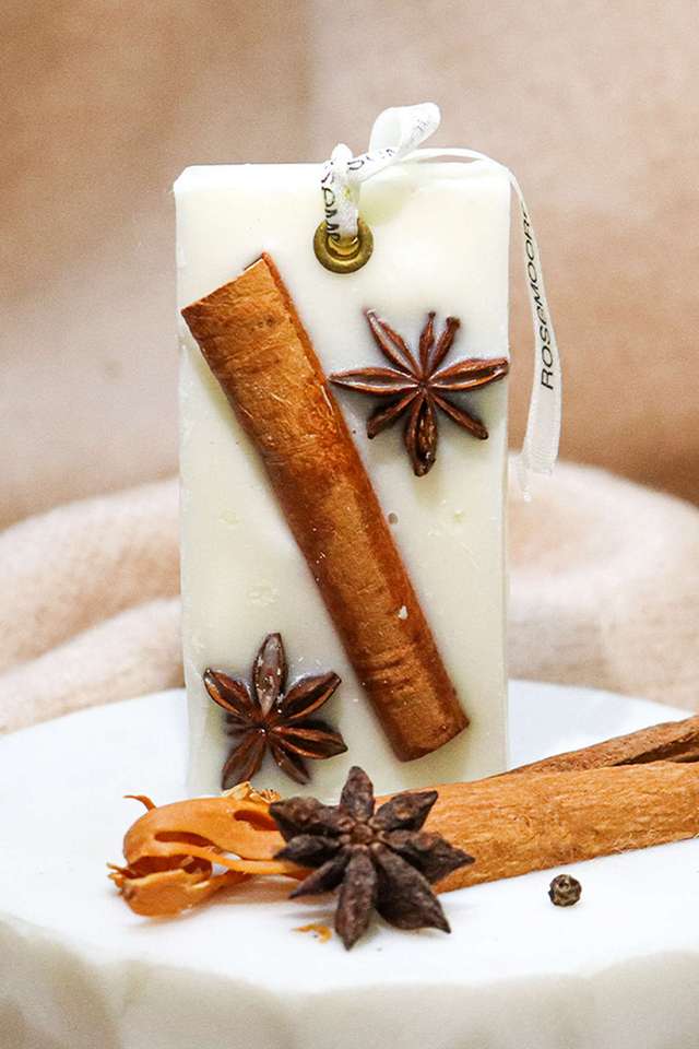 Truly-Spiced-Scented-Wax-Tablet