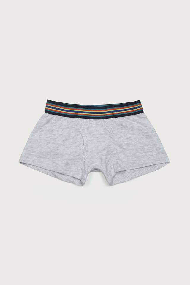 Solid-Cotton-Regular-Fit-Boys-Briefs