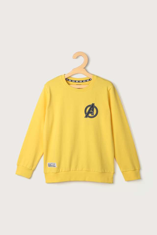 Printed-Cotton-Round-Neck-Boys-Character-Sweatshirt