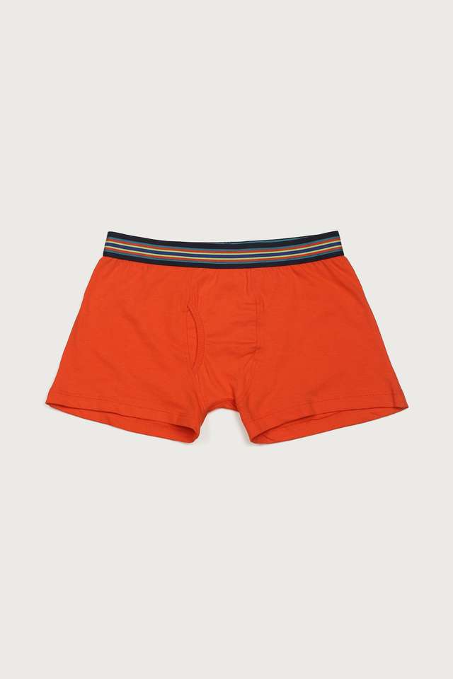 Solid-Cotton-Regular-Fit-Boys-Briefs