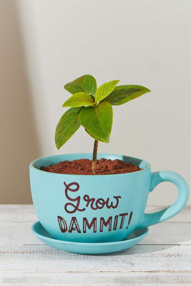 Grow-Dammit-Teal-Planter