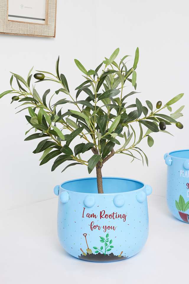 Treatyourself-Blue-Planter-S