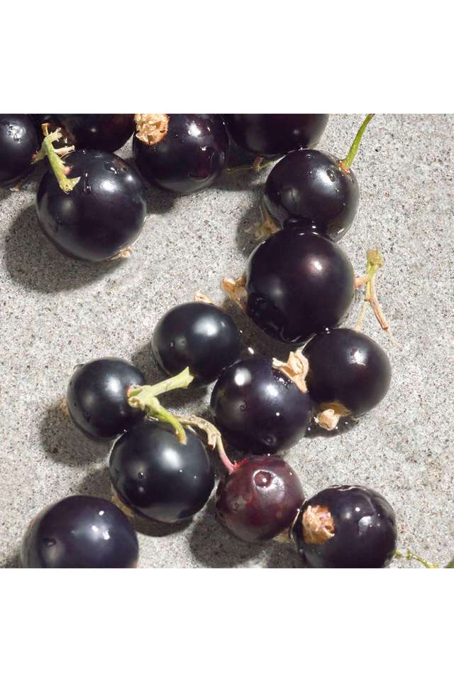 Buy Dolce&Gabbana nocolor Dolce Gabbana Dolce Violet Eau de