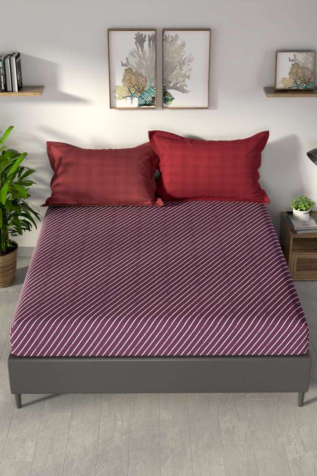 Pacific-Coast-100--Premium-Cotton-King-Bedsheet-With-2-Pillow-Covers