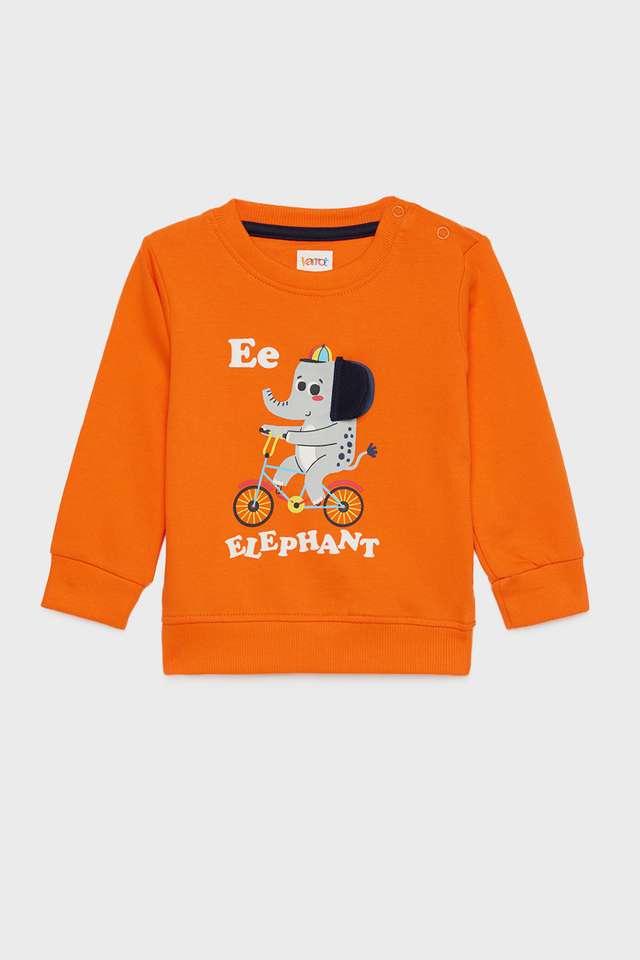 Graphic-Print-Cotton-Round-Neck-Infant-Boys-Sweatshirt