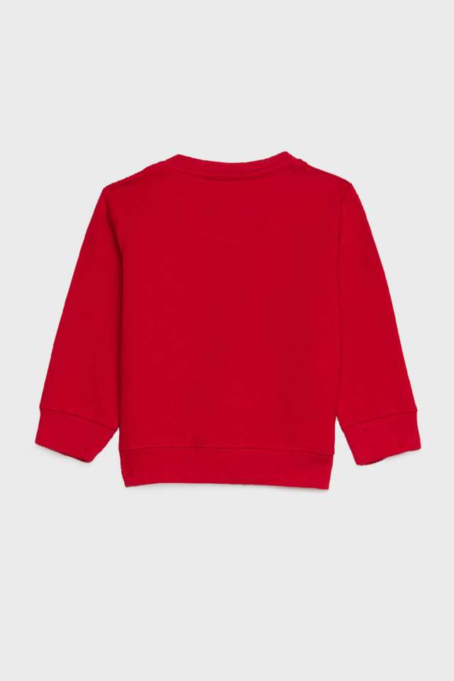 Graphic-Print-Cotton-Round-Neck-Boys-Sweatshirt