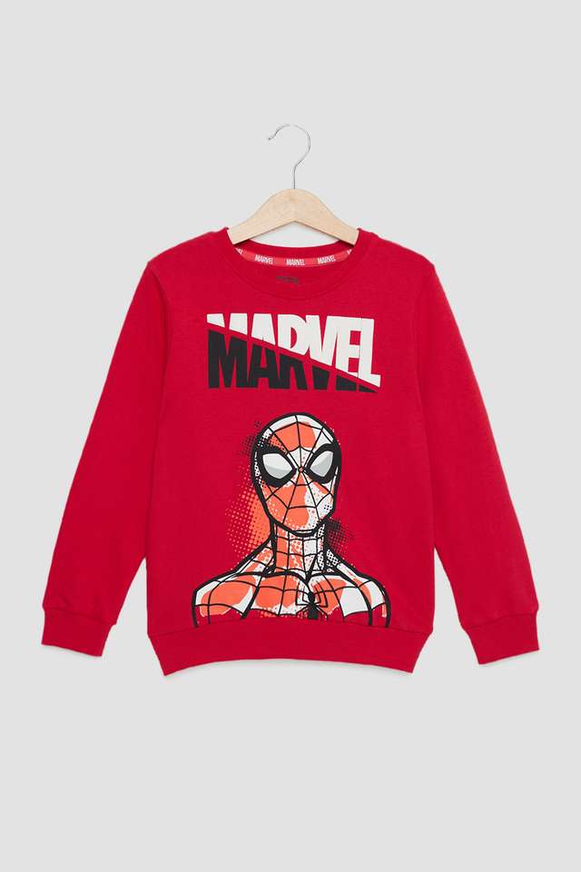 Graphic-Print-Cotton-Round-Neck-Boys-Sweatshirt