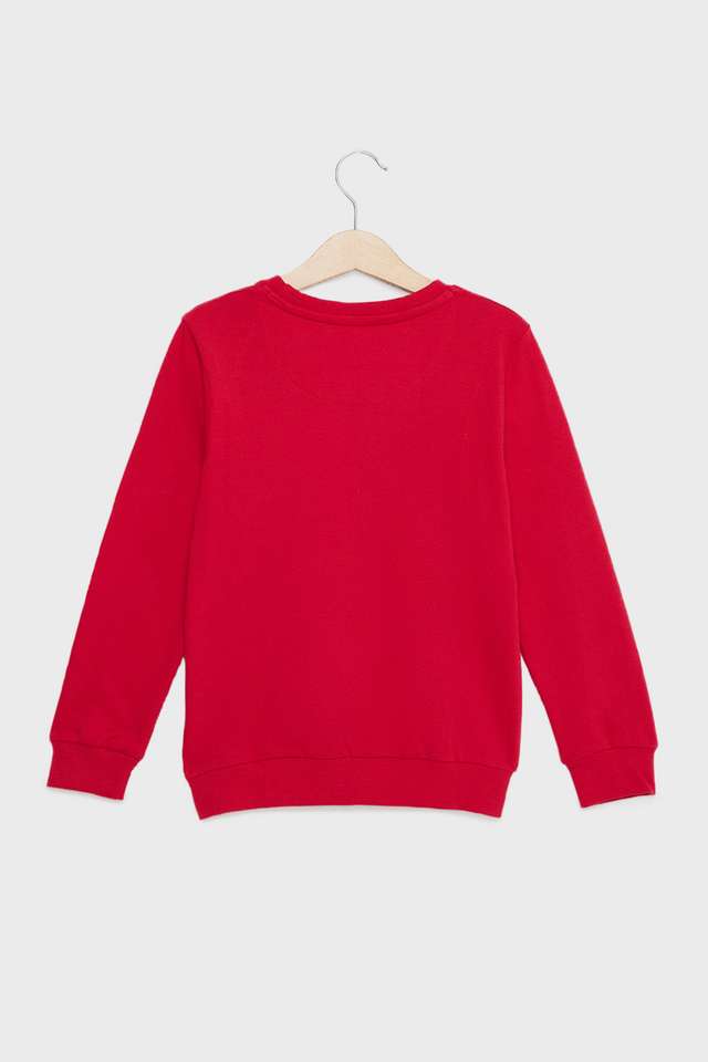 Graphic-Print-Cotton-Round-Neck-Boys-Sweatshirt