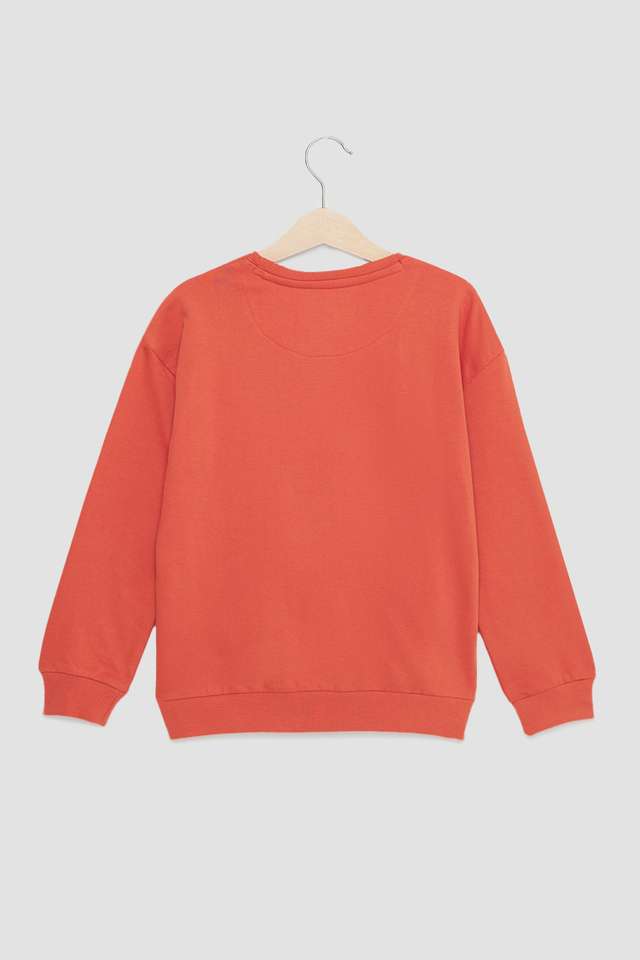 Graphic-Print-Cotton-Round-Neck-Boys-Sweatshirt