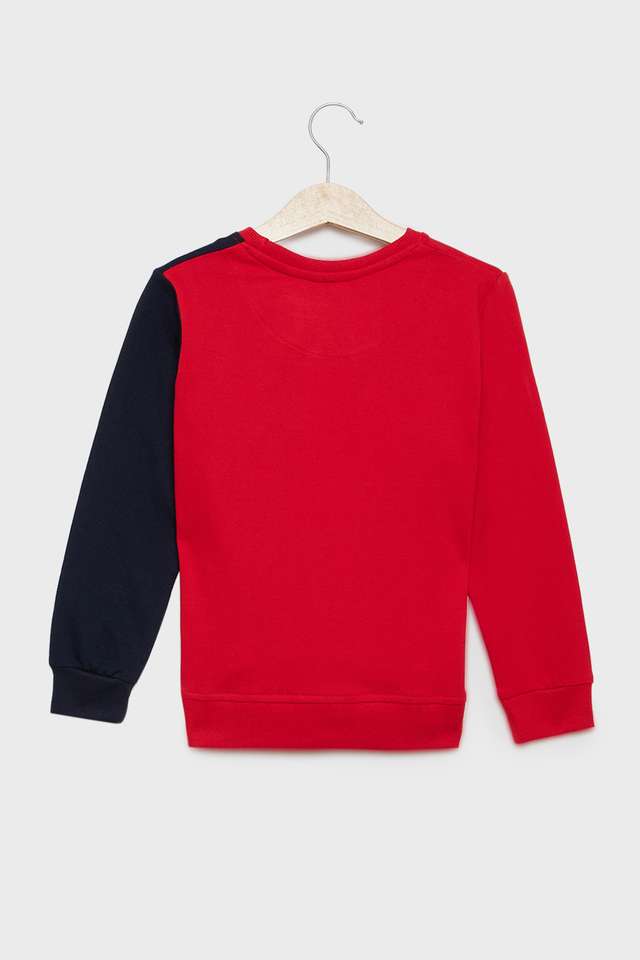 Graphic-Print-Cotton-Round-Neck-Boys-Sweatshirt