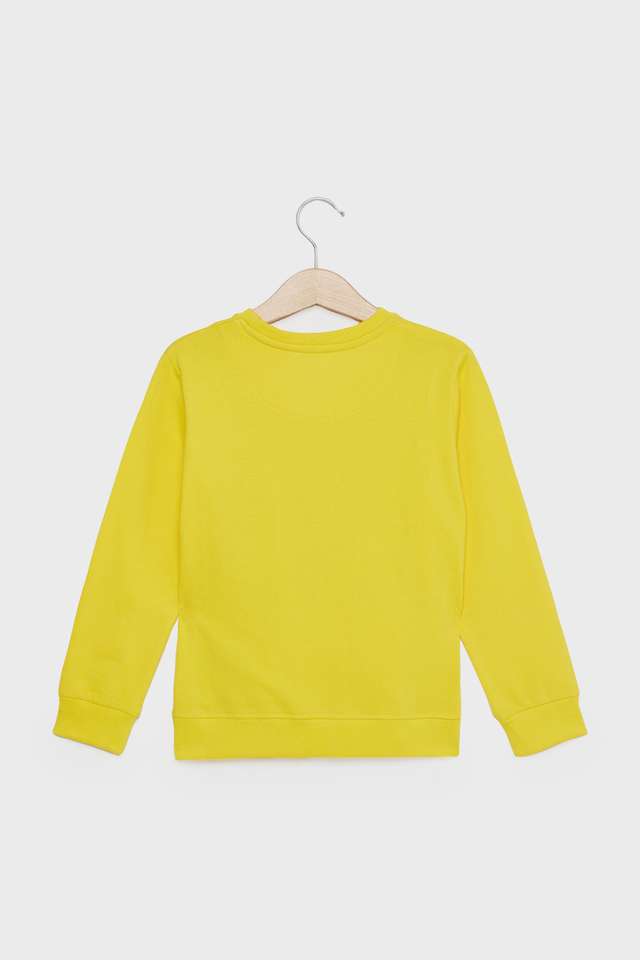 Graphic-Print-Cotton-Round-Neck-Boys-Sweatshirt