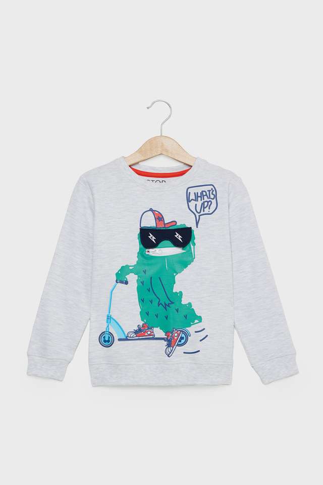 Graphic-Print-Cotton-Round-Neck-Boys-Sweatshirt