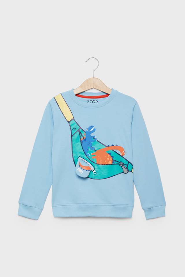 Graphic-Print-Cotton-Round-Neck-Boys-Sweatshirt