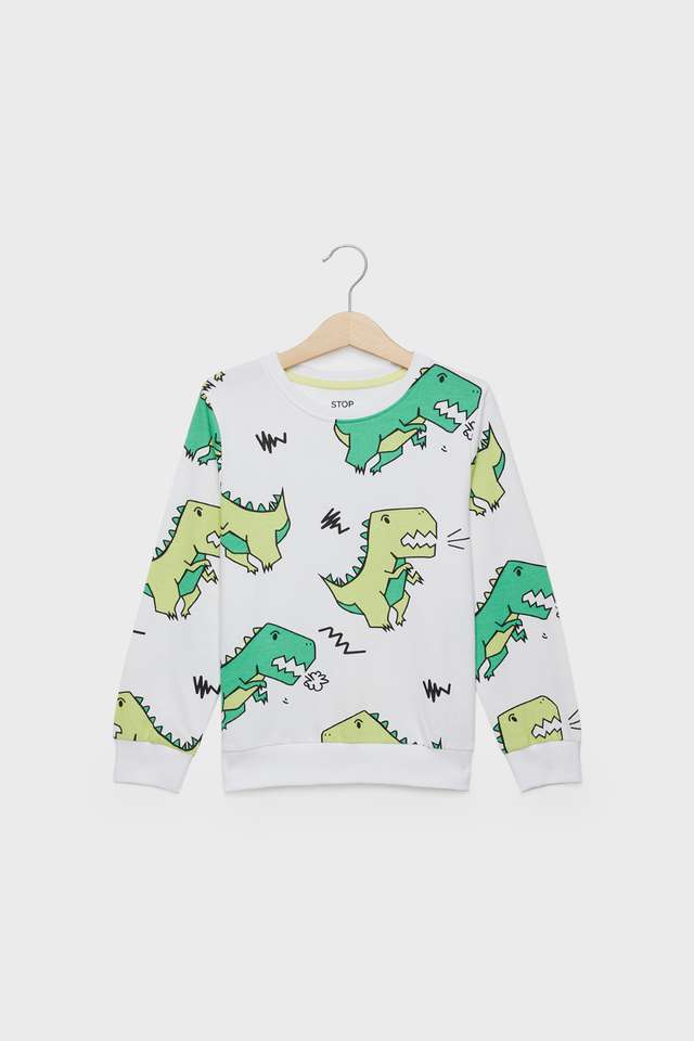 Graphic-Print-Cotton-Round-Neck-Boys-Sweatshirt