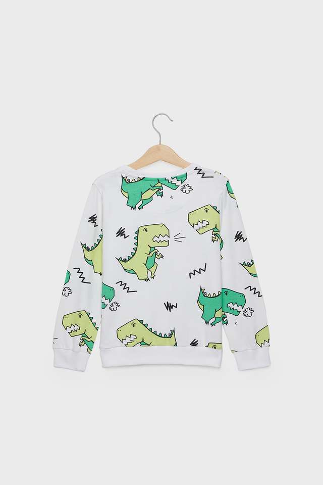 Graphic-Print-Cotton-Round-Neck-Boys-Sweatshirt