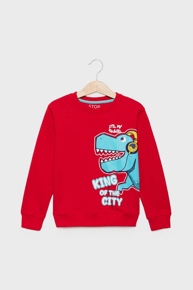 Graphic-Print-Cotton-Round-Neck-Boys-Sweatshirt