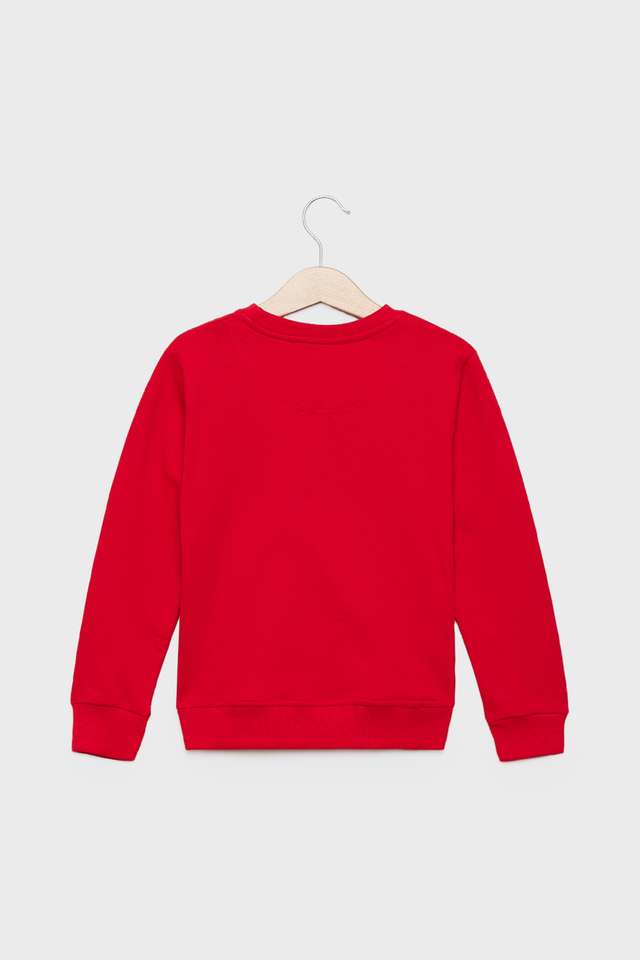 Graphic-Print-Cotton-Round-Neck-Boys-Sweatshirt