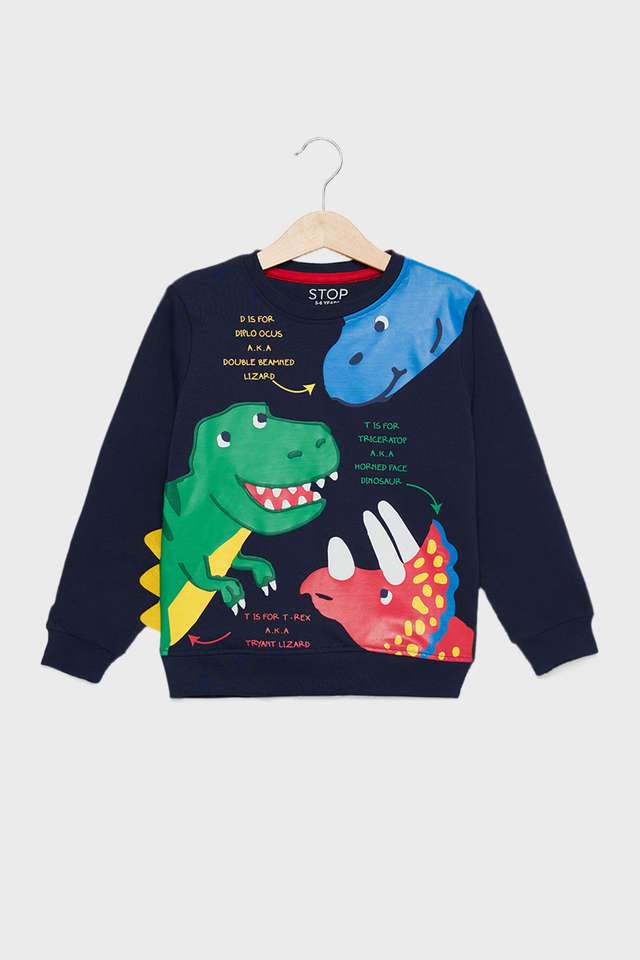 Graphic-Print-Cotton-Round-Neck-Boys-Sweatshirt