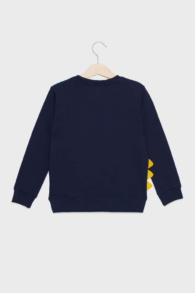 Graphic-Print-Cotton-Round-Neck-Boys-Sweatshirt