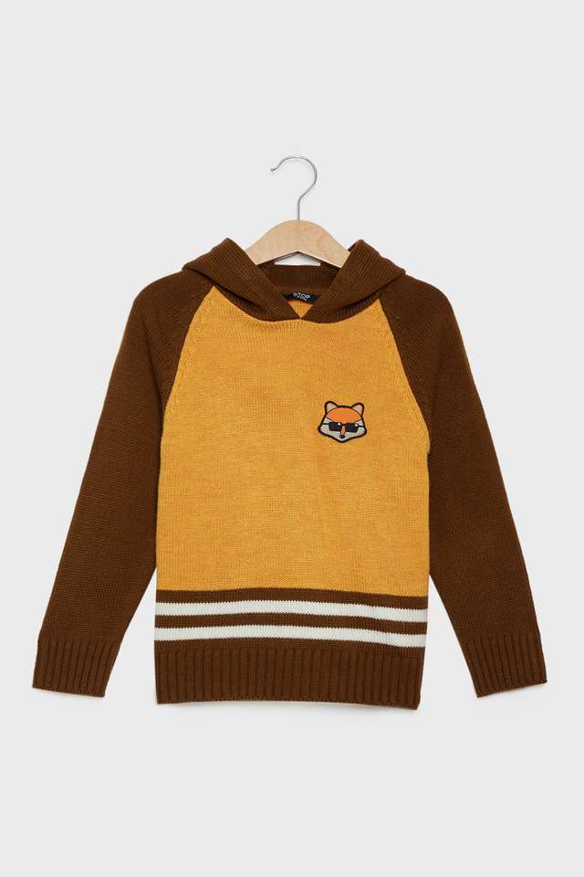 Color-Block-Cotton-Hooded-Boys-Sweater