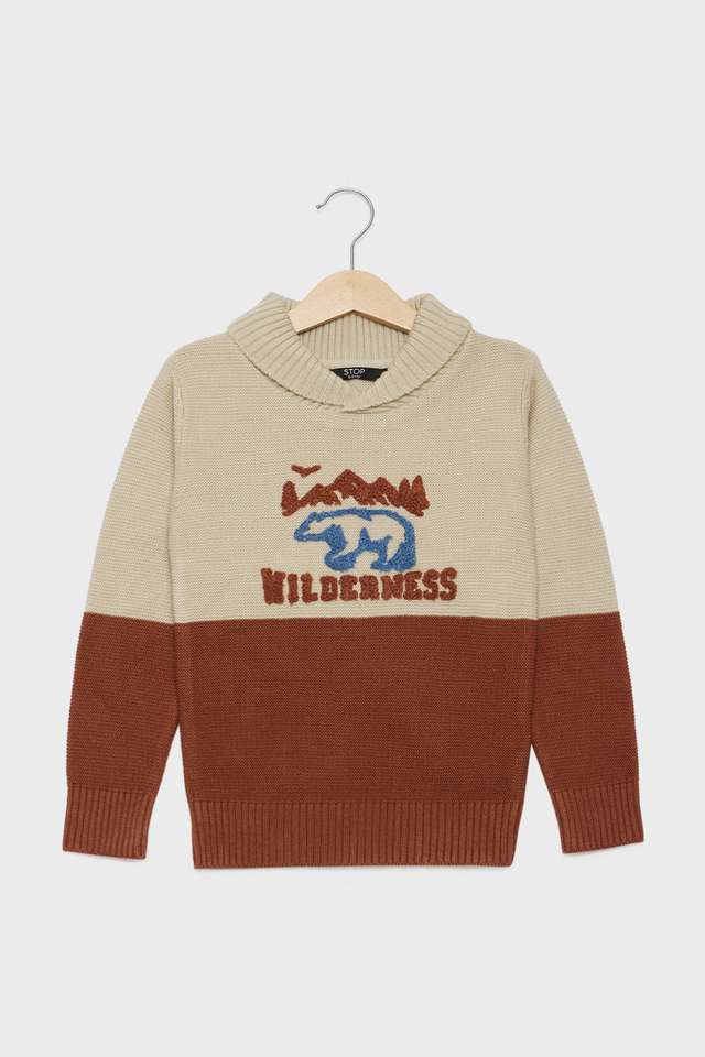 Color-Block-Cotton-High-Neck-Boys-Sweater