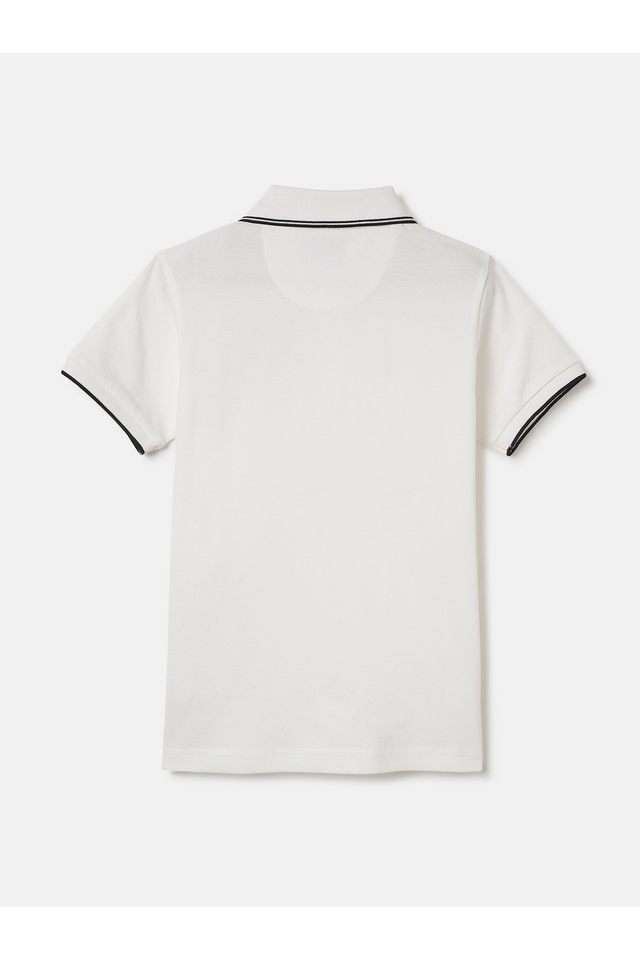 Solid-Cotton-Regular-Fit-Boys-T-Shirt