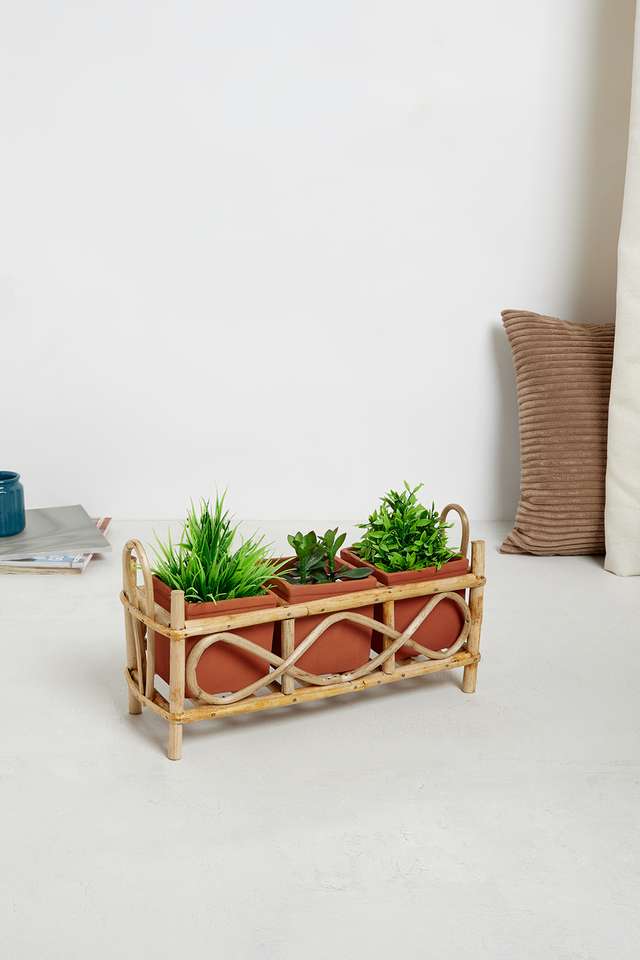 BTE-Indoor-3-Cane-Planter