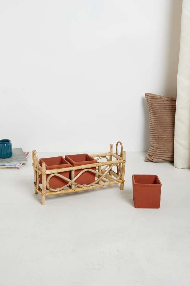 BTE-Indoor-3-Cane-Planter