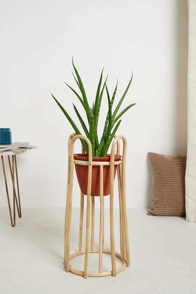 BTE-Indoor-Cane-Floor-Planter