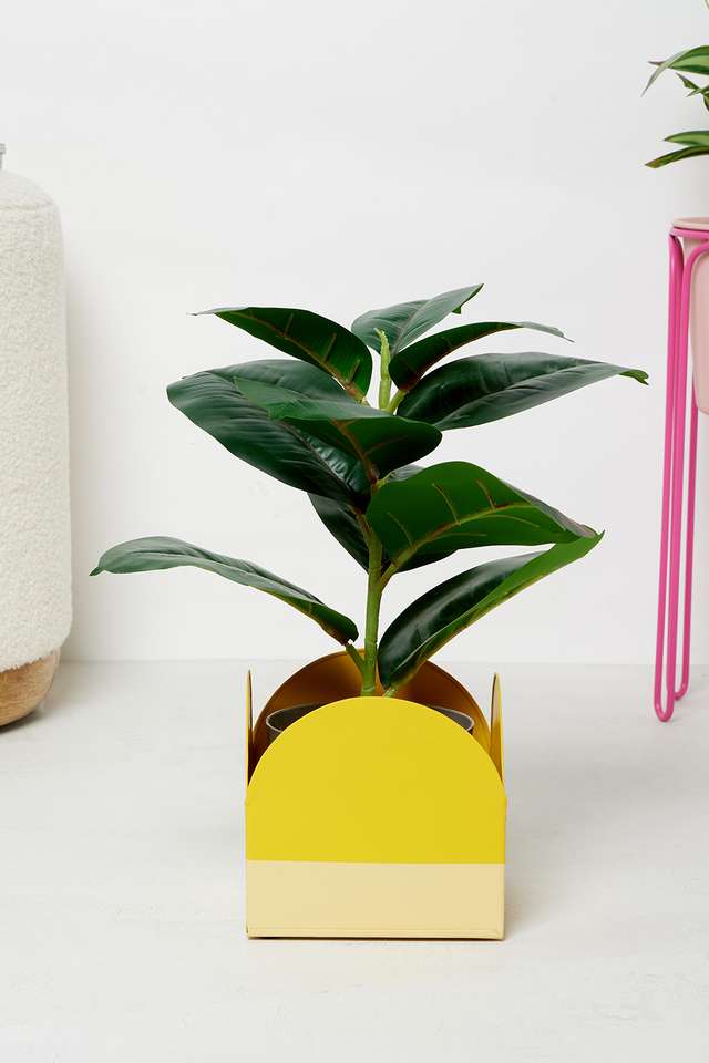 Bold-Boho-Scallop-Planter