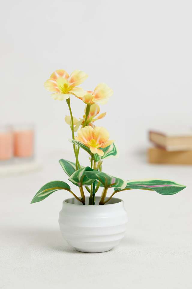 Yellow-Daisy-Mini-Potted-Flower