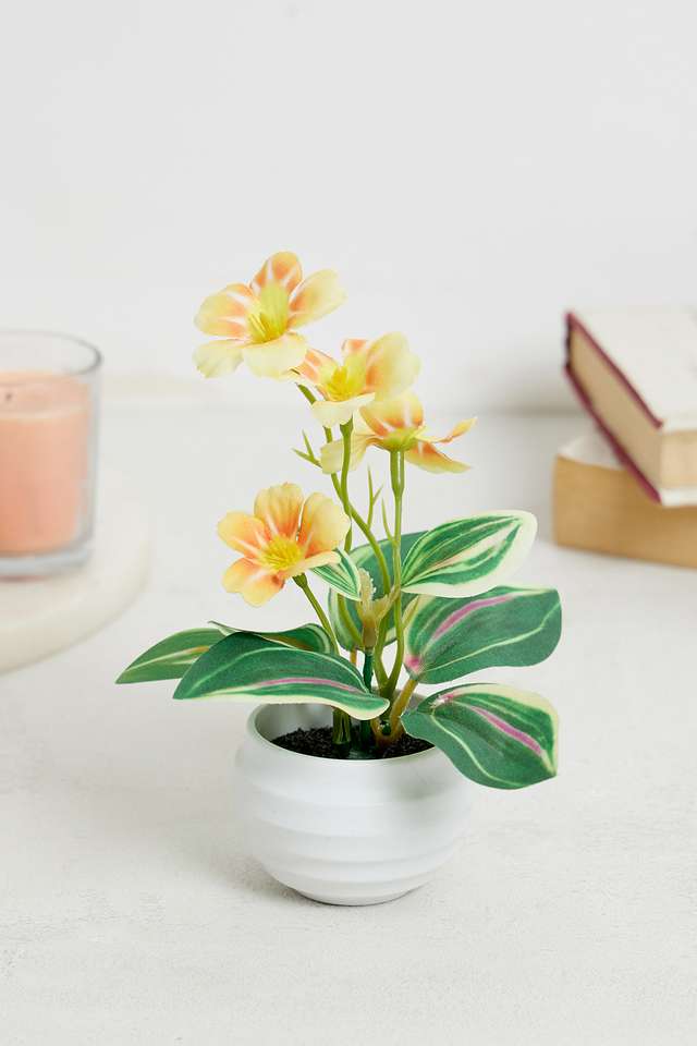 Yellow-Daisy-Mini-Potted-Flower