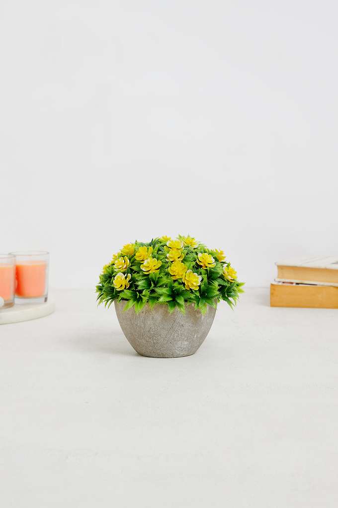 Yellow-Dainty-Mini-Potted-Flower