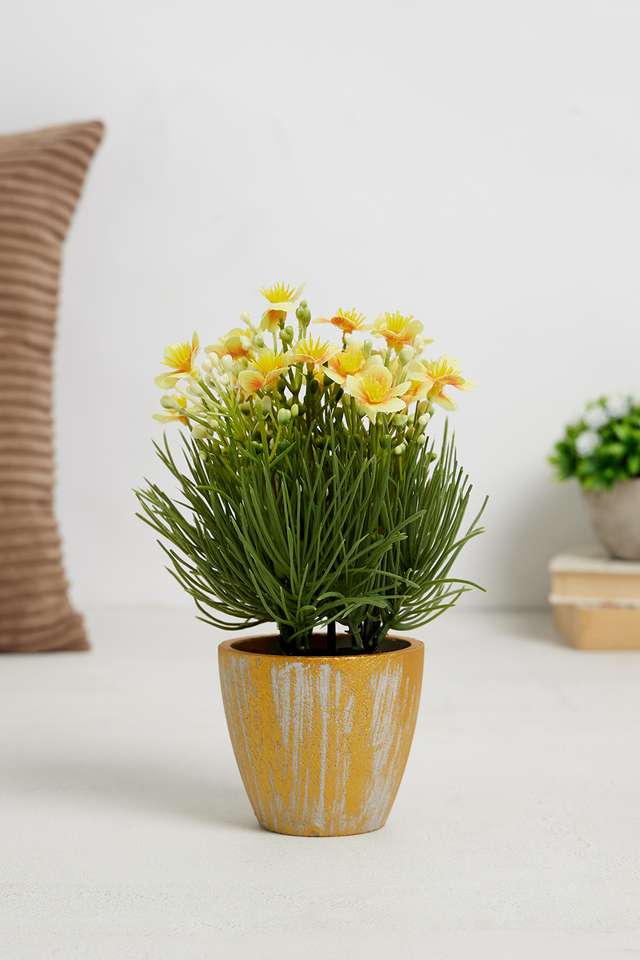 Yellow-Spring-Potted-Flower