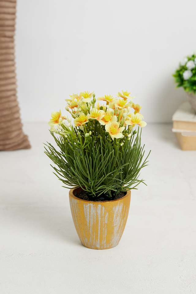 Yellow-Spring-Potted-Flower