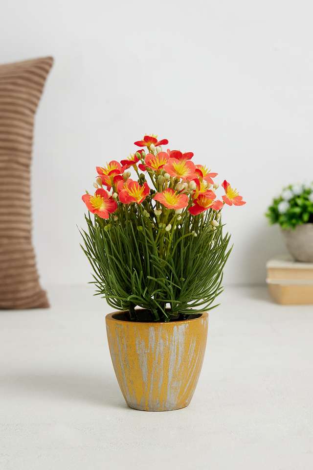 Orange-Spring-Potted-Flower