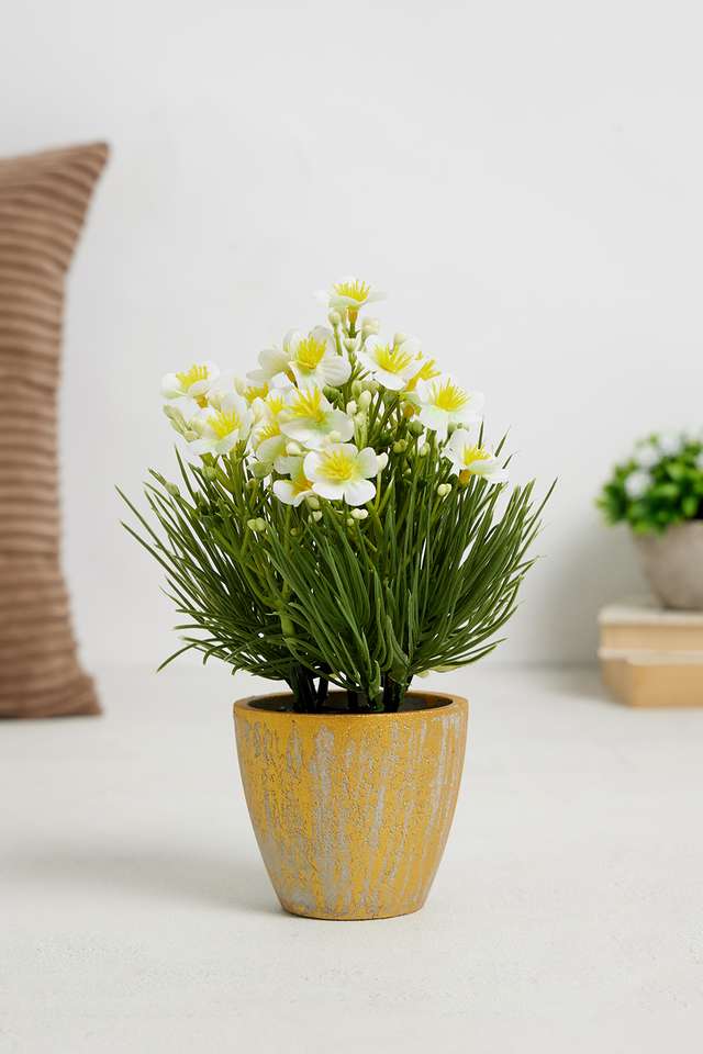 White-Spring-Potted-Flower