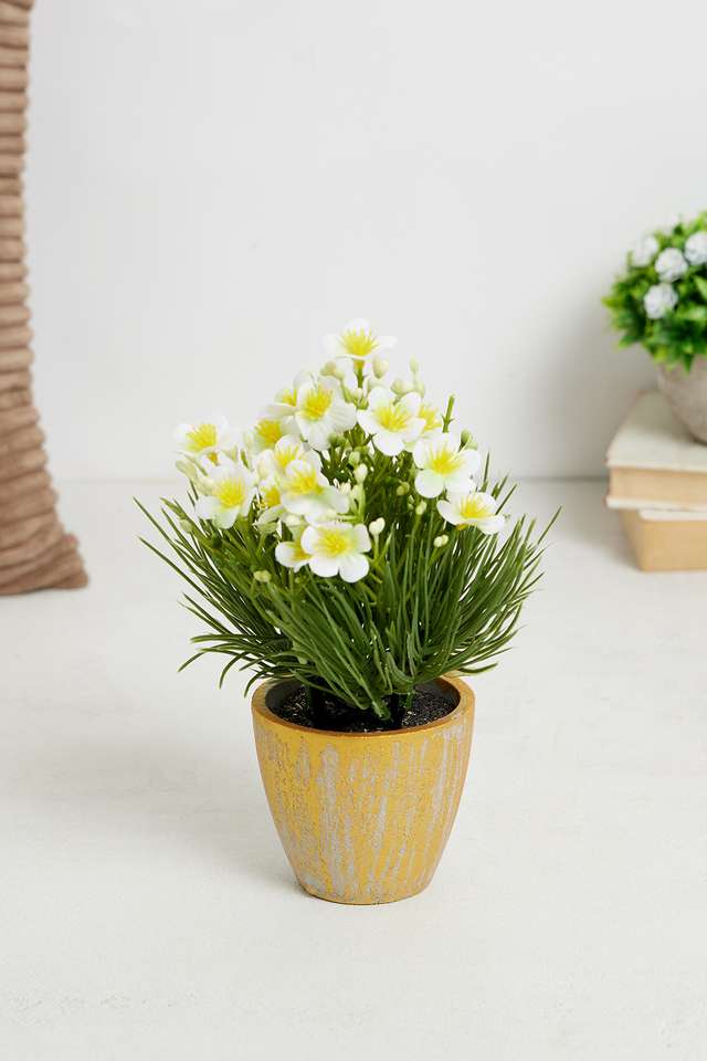 White-Spring-Potted-Flower