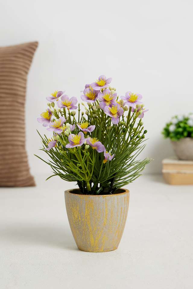 Purple-Spring-Potted-Flower