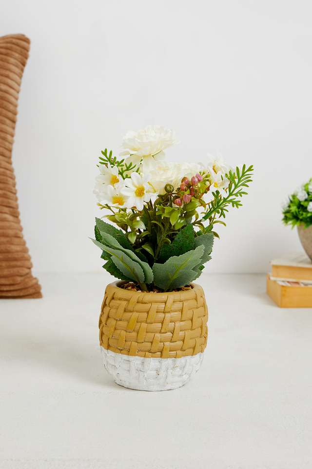 White-Dahlia-Potted-Flower