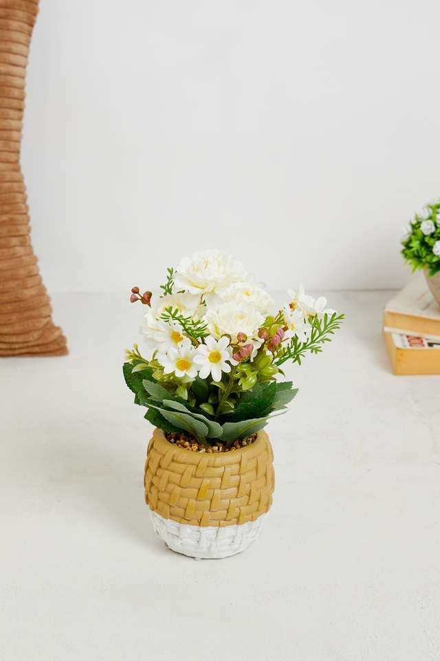 White-Dahlia-Potted-Flower