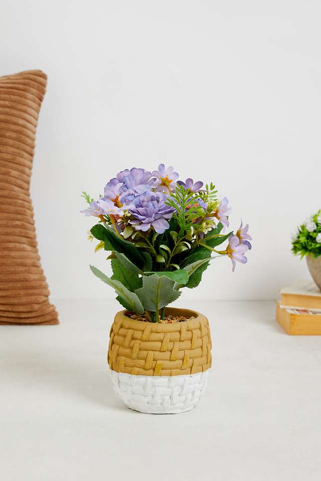 Blue-Dahlia-Potted-Flower